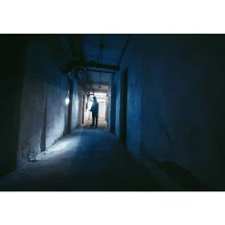 Ansmann DAILY USE LED ZAKLAMP 150LM 150B Discount