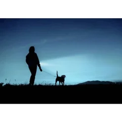 Ansmann DAILY USE LED ZAKLAMP 150LM 150B Discount