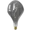 Calex XXL ORGANIC EVO LED LAMP 220-240V 6W 90LM E27 PS165 TITANIUM 1800K DIMBAAR (2101001700) New