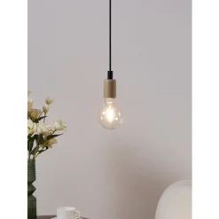 Eglo LEDE27 Lichtbron / Glas helder Ø 95 mm Online