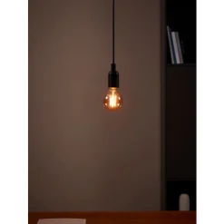 Eglo LEDE27 Lichtbron / Glas amber Ø 80 mm Best