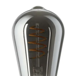 Eglo LEDE27 Lichtbron / glas gestoomd zwart-transparant Ø 64 mm Discount