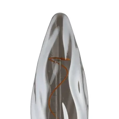 Eglo LEDE27 Lichtbron / Glas zwart-transparant Ø 78 mm Hot