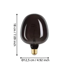 Eglo LEDE27 Lichtbron / Glas zwart Ø 125 mm Clearance