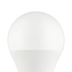 Eglo LEDE27 Lichtbron / Kunststof opaal Ø 60 mm Discount