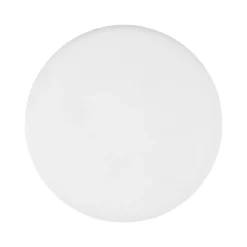 Eglo RAPITA inbouwarmatuur aluminium wit / Kunststof wit H: 20 mm | Ø 215 mm Sale