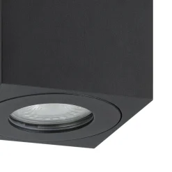 Eglo TORRECOLA Plafondarmaturen aluminium, kunststof zwart / Glas helder H: 95 mm Outlet