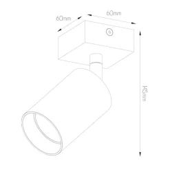 Fantasia TABOO 1L GU10 (excl) wit, spot Best