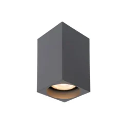 Lucide DELTO - Plafondspot - LED Dim to warm - GU10 - 1x5W 2200K/3000K - Grijs Outlet