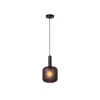 Lucide ELOISE Hanglamp-Zwart-Ø21-1xE27-40W-Glas Online