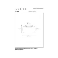 Lucide OLIVIA Plafonnière-Fumé-Ø40-3xE27-40W-Glas Best