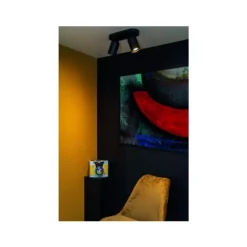 Lucide PUNCH Plafondspot-Zwart-2xGU10-35W-Metaal Best