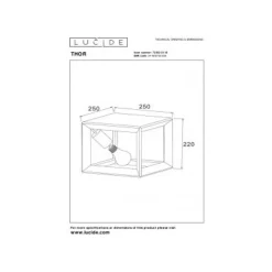 Lucide THOR - Plafonnière - 1xE27 - Grijs ijzer Discount