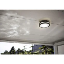 Lutec TITAN Wand / plafondlamp Donkergrijs E27 60W Hot