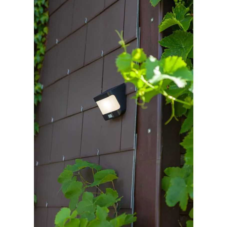 Lutec TRY Solar wandlamp met sensor Zwart LED 8W Online