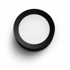 Philips Lighting Actea wall lantern black 1x12W 176V Online