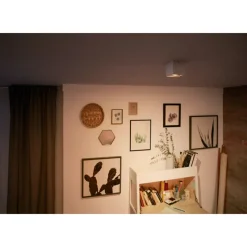 Philips Lighting BOX single spot white 1x4.5W SELV New