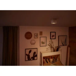 Philips Lighting BOX single spot white 1x4.5W SELV New