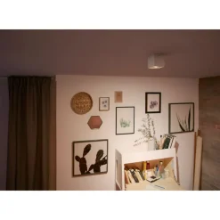 Philips Lighting BOX single spot white 1x4.5W SELV New