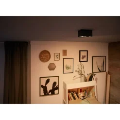 Philips Lighting BOX special form black 2x4.5W SELV Sale