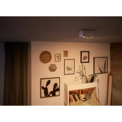 Philips Lighting BOX special form white 2x4.5W SELV Clearance