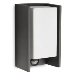 Philips Lighting Bridge wall lantern anthracite 1x42W 230 Discount
