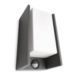 Philips Lighting Bridge wall lantern anthracite 1x42W 230 Discount