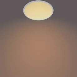 Philips Lighting Cavanal SS RD 12W 27K W HV IP44 06 Online