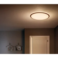 Philips Lighting CAVANAL 40K ceiling lamp white   18W 230 Clearance