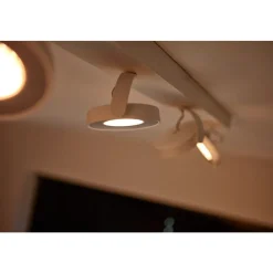 Philips Lighting CLOCKWORK bar/tube white 4x4.5W SELV Online