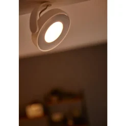 Philips Lighting CLOCKWORK bar/tube white 4x4.5W SELV Online