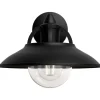 Philips Lighting Cormorant wall lantern black 1x42W 230V New