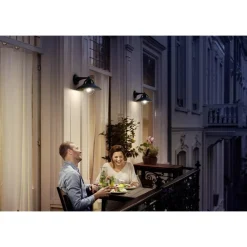 Philips Lighting Cormorant wall lantern black 1x42W 230V New