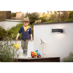 Philips Lighting Hedgehog wall lantern anthracite 1x42W Outlet