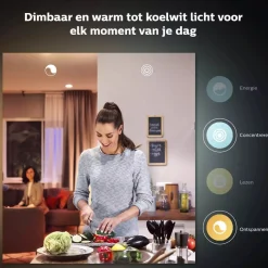 Philips Lighting Hue Lamp White Ambiance E27 + Dimmer Online