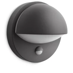 Philips Lighting June wall lantern anthracite 1x42W 230V
