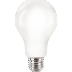 Philips Lighting LED-lamp E27 A67 13W-120W CW Hot