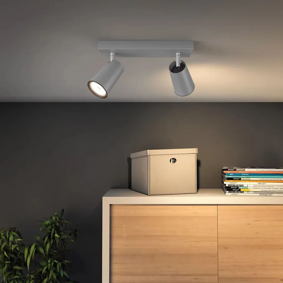 Philips Lighting PAISLEY bar/tube aluminium 2xNW 230V Best