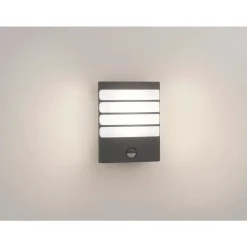 Philips Lighting Raccoon wall lantern anthracite 1x3W SEL Sale