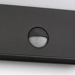 Philips Lighting Raccoon wall lantern anthracite 1x3W SEL Sale