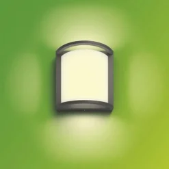 Philips Lighting Samondra wall lantern anthracite 1x12W