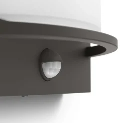 Philips Lighting Samondra IR wall lantern anthracite 1x12 New