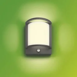 Philips Lighting Samondra IR wall lantern anthracite 1x12 New