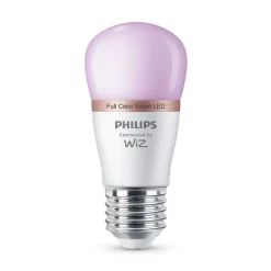 Philips Lighting Smart LED Lamp 4,9 W (gelijk aan 40 W) P45 E27 Online