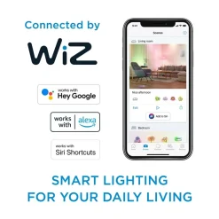 Philips Lighting Smart LED Lamp 4,9 W (gelijk aan 40 W) P45 E27 Online