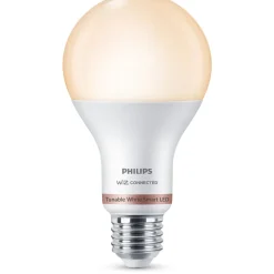 Philips Lighting Smart LED Lamp 13 W (gelijk aan 100 W) A67 E27 Hot