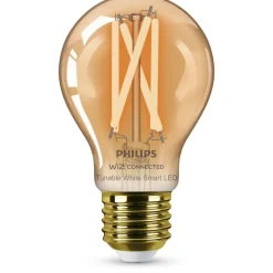 Philips Lighting Smart LED Filamentlamp amberkleurig 7 W (gelijk aan 50 W) A60 E27 Clearance