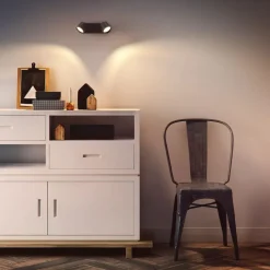 Philips Lighting STAR bar/tube black 2x4.5W SELV Dim Hot