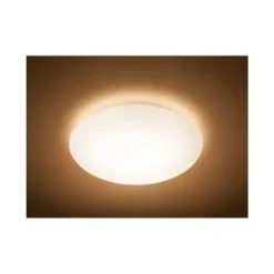 Philips Lighting Suede ceiling lamp white 27K 4x5W Clearance