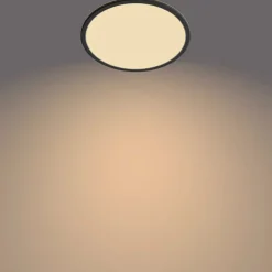 Philips Lighting Superslim CL550 SS RD 18W 27K B WVIP4406